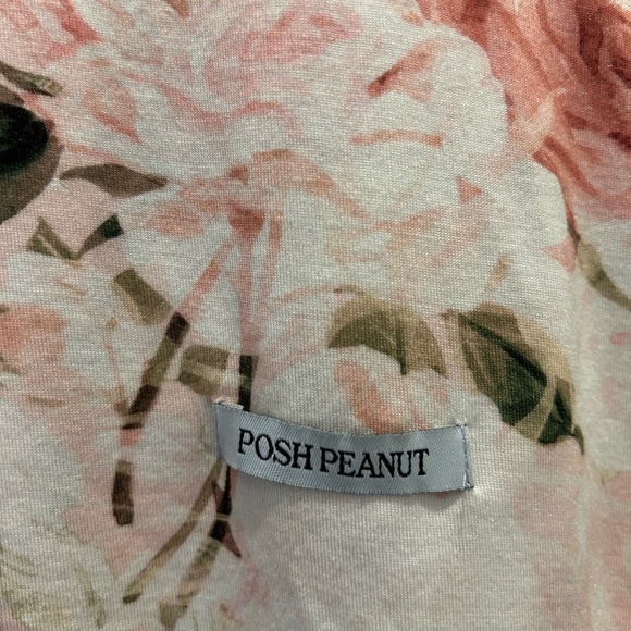 Posh Peanut pajama set and receiving blanket - Picture 8 of 8